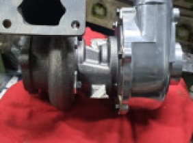 RHB6 